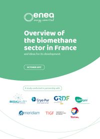 Overview of the biomethane sector in France and ideas for its development