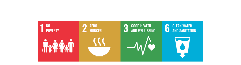 sdgs 2 1 