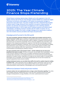 2025: The year climate finance stops pretending