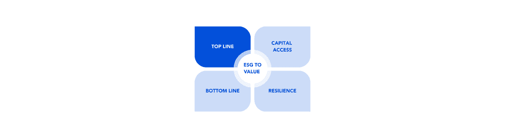 Esg to value framework Blunomy - top line