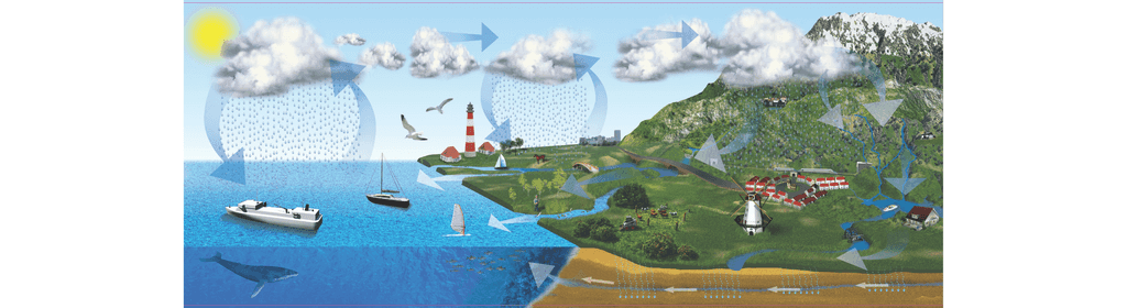 water cycle