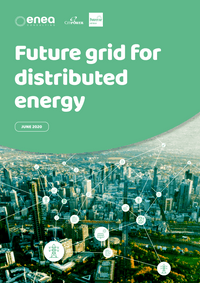 Future grid for distributed energy